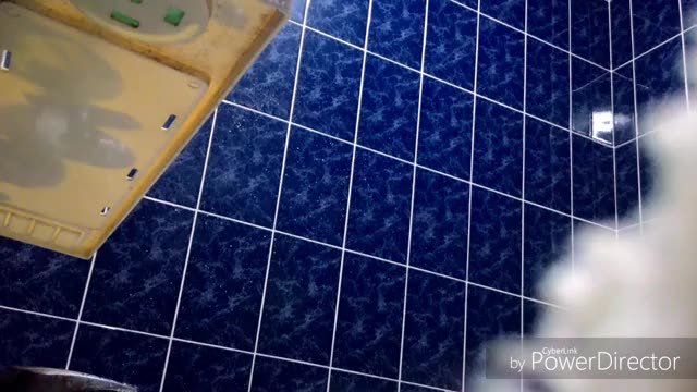 表姊妹洗澡偷拍2-續集