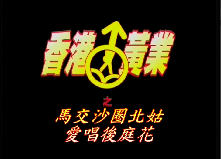 香港懷舊A片系列 香港黃頁四部合集 真槍實彈 絕版收藏