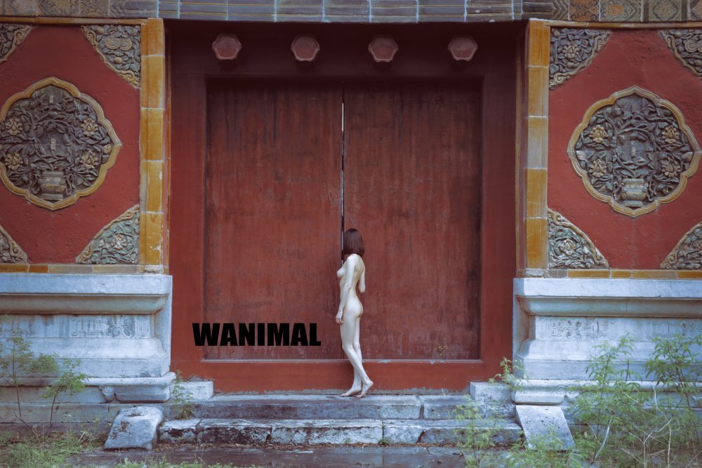 [精典回顧]王動WANIMAL作品集-081 [43P]&nbsp; 含故宮部分