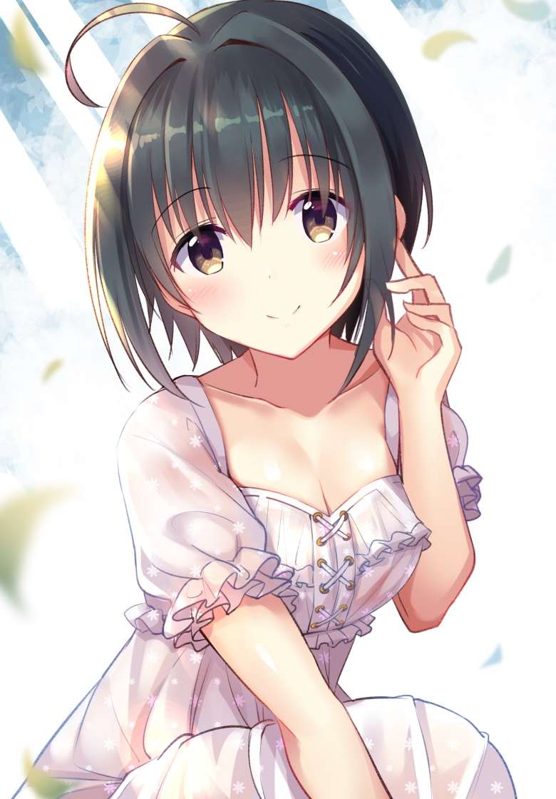 Collection[21P]