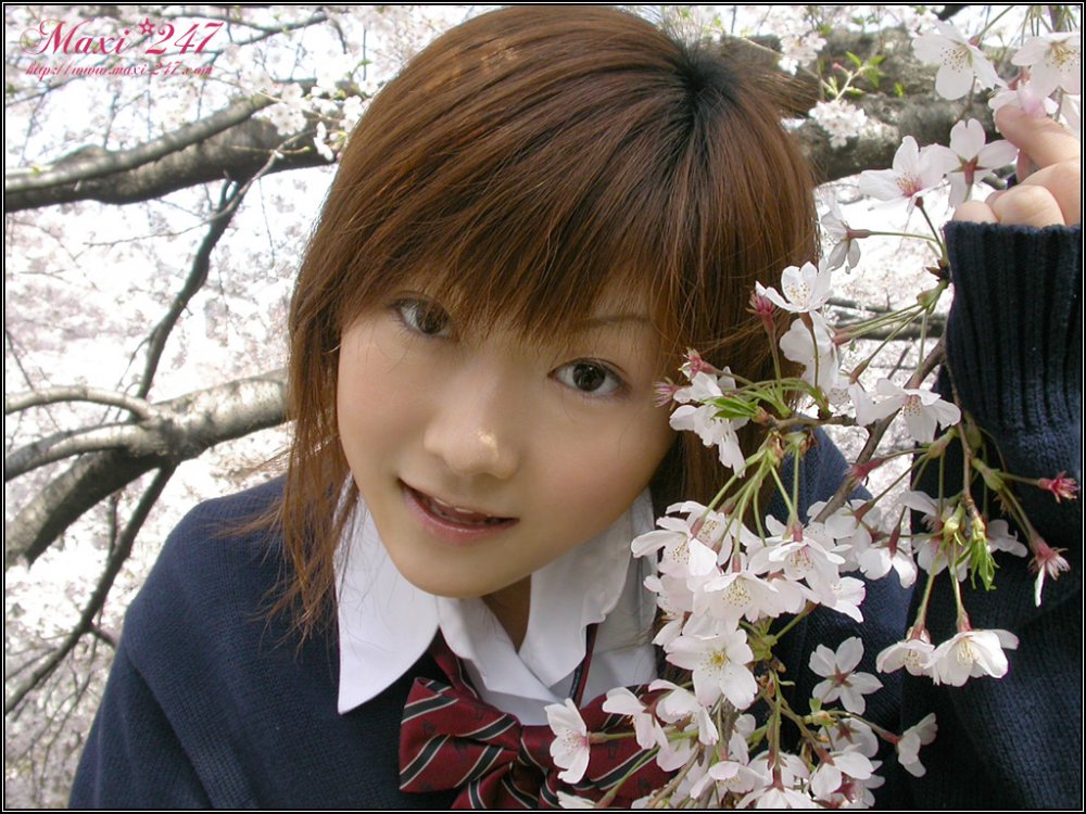 Maxi-247 – MS008 - Moe [24P]