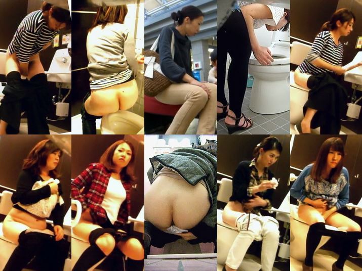Japanese toilet style.No,138