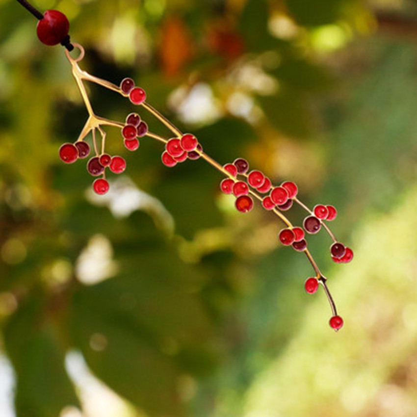 紅豆生南國，此物最相思~[33P]