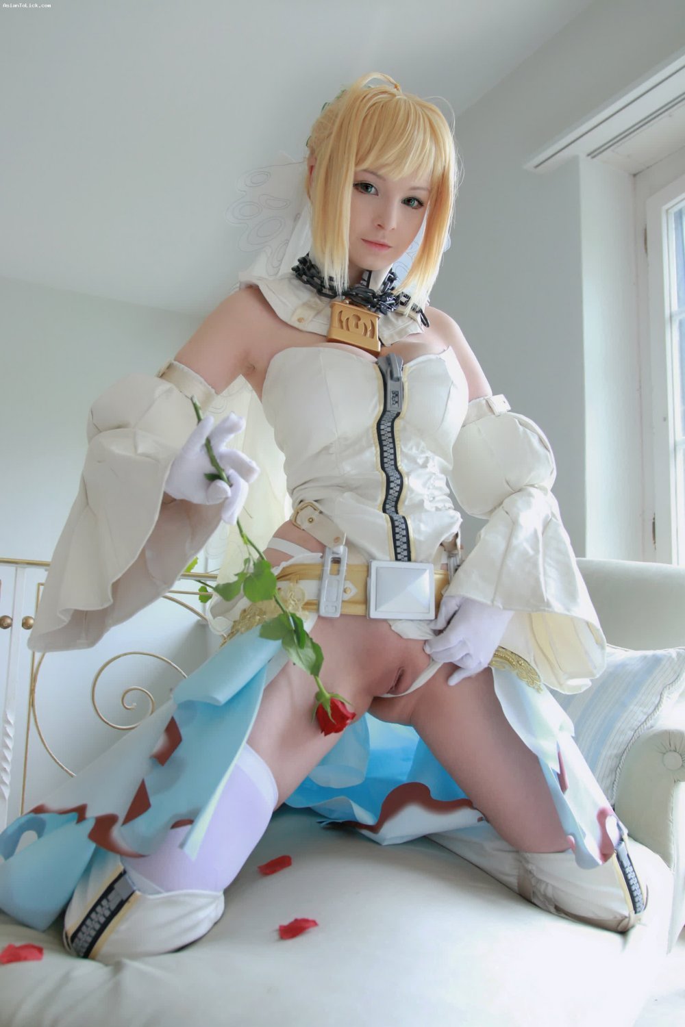Hidori Rose [22P]