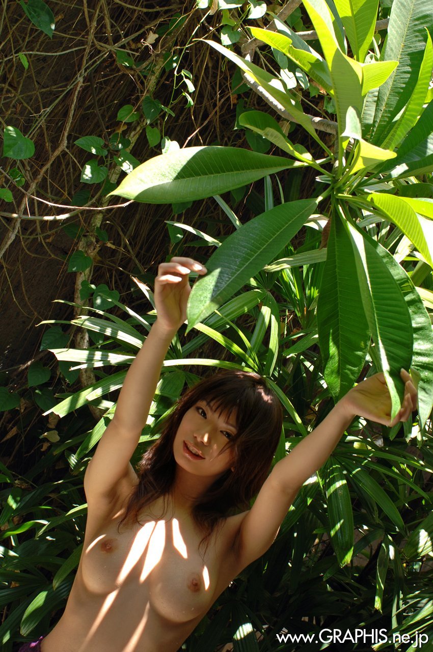 gra_hikari-h[30P]