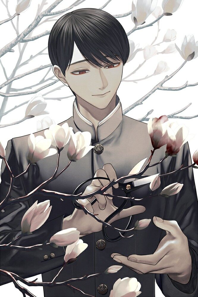 木蓮花 [24P]