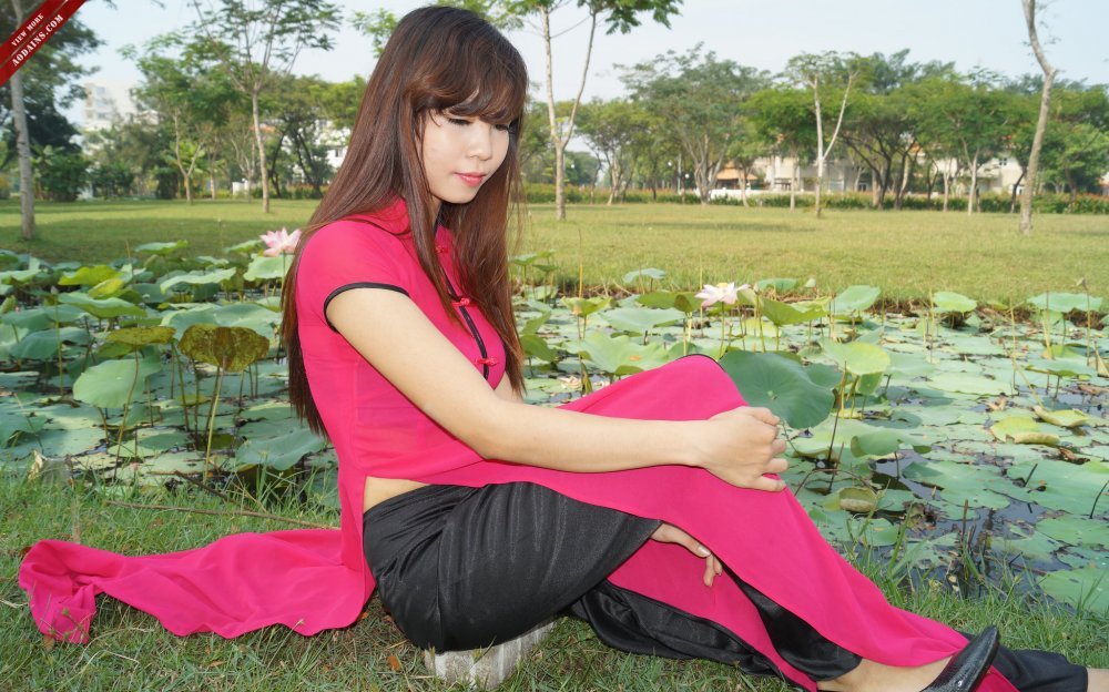 圖[118P]
