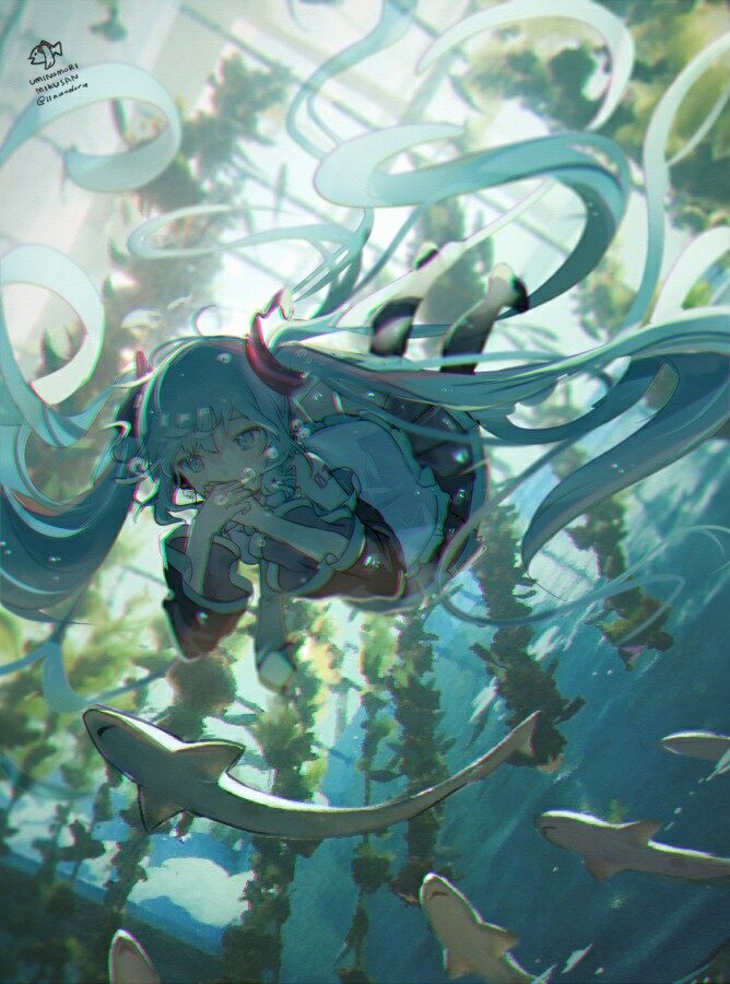 水族館 [20P]