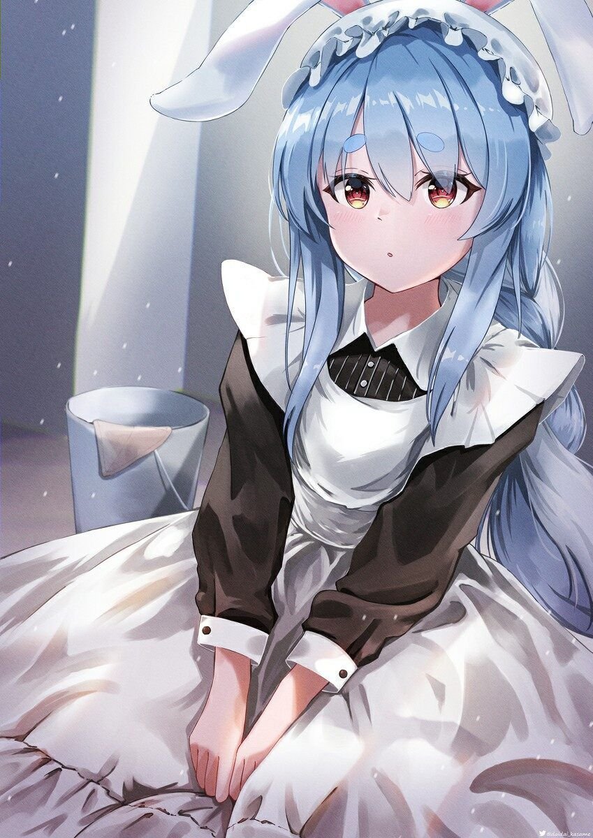 女僕之日 [23P]