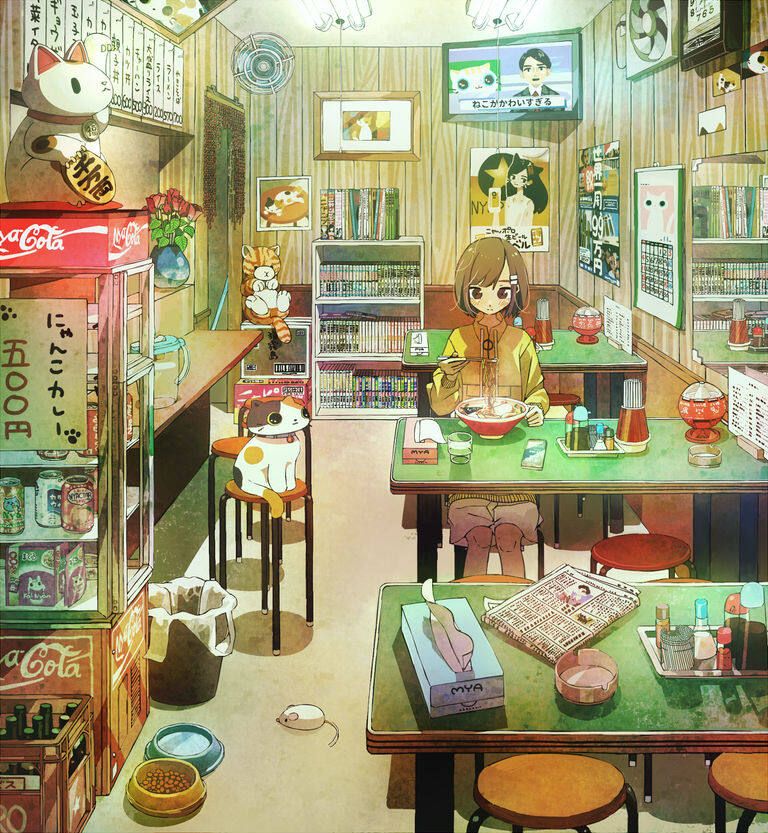 電視 [20P]