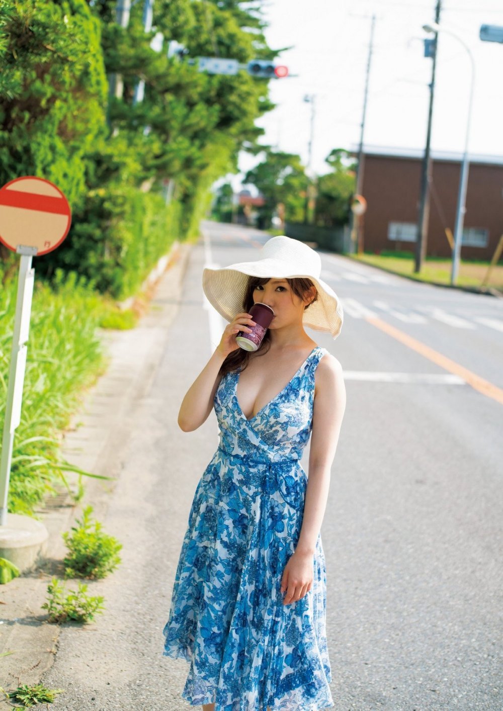 Hollyhock[22P]