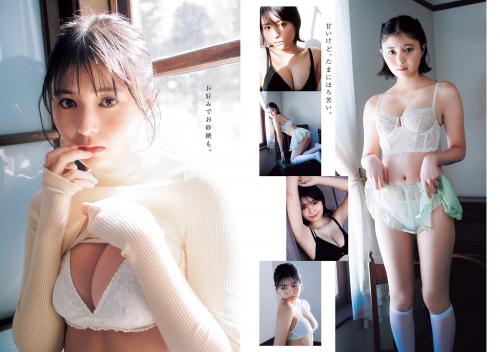 [Young Jump] 2024 No.15 頓知気さきな 楡井希実 天野レナ