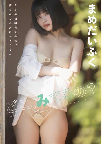 [Photobook] まめだいふく どこ、みてるの？ (Wunder Publishing Hoouse)