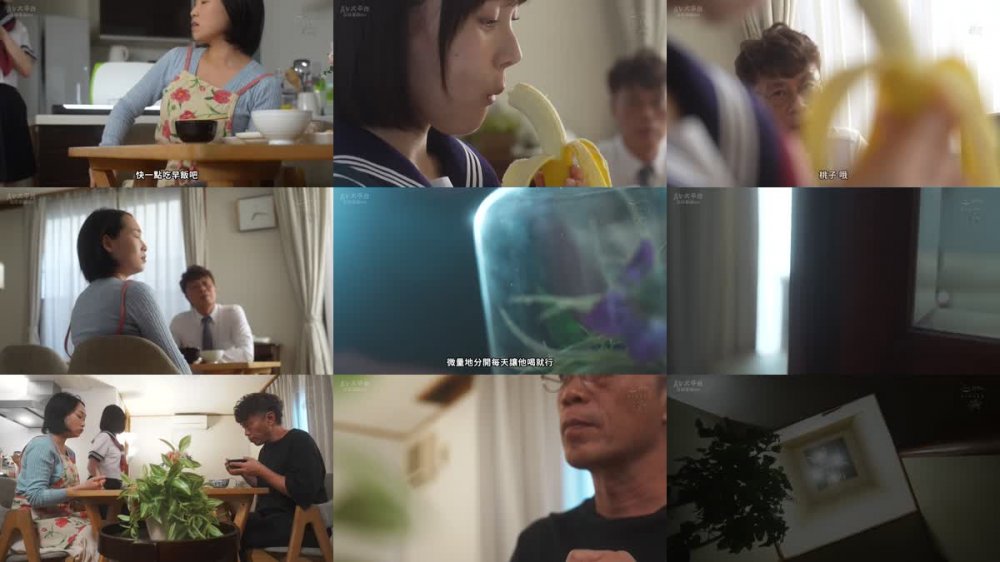 +++ [FHDC] DASS-394 男嫌いなスレンダー美乳の連れ子に媚薬を●ませて一週間。子宮が疼き、理性を失った娘は、嫌がりながらも俺の巨根を求めるようになった。 白石もも