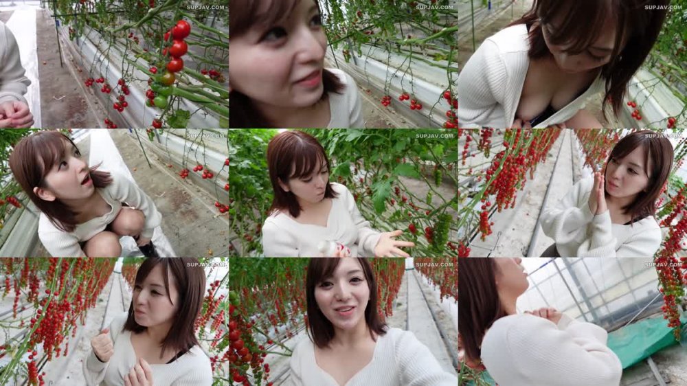 +++ FC2-PPV-4615614 ~ vol.50 ~ 【 あの人気シリーズ 】 の生々しい中出し映像を一挙公開！！【 特典映像3時間50分収録 】