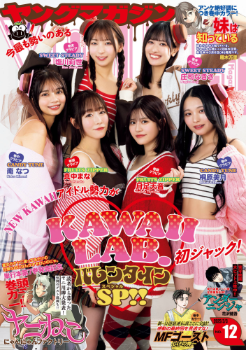 [Young Magazine] 2025 No.12