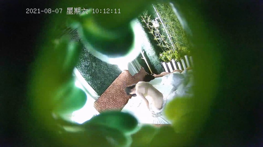經典酒店偷拍 靦腆女友被操的呻吟不斷，高潮迭起