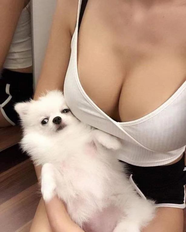 大大的胸部[21P]