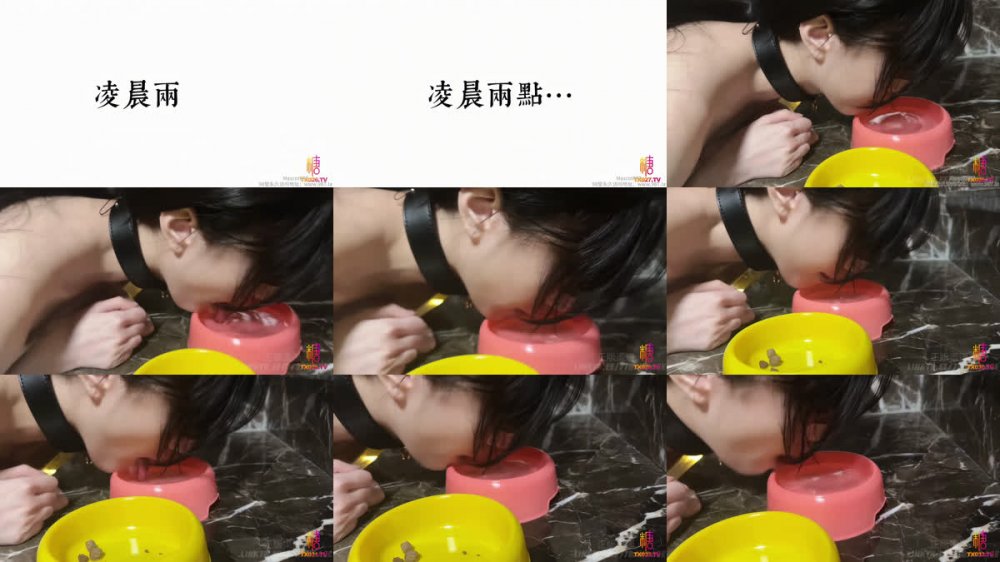 【AI增強】糖心Vlog【中出內射】被圈養的小母狗嫩穴破處內射騷穴小二先生-創可貼貼