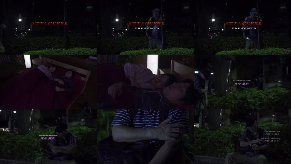 +++ [FHD] SAME-220 侵入者 花守夏歩