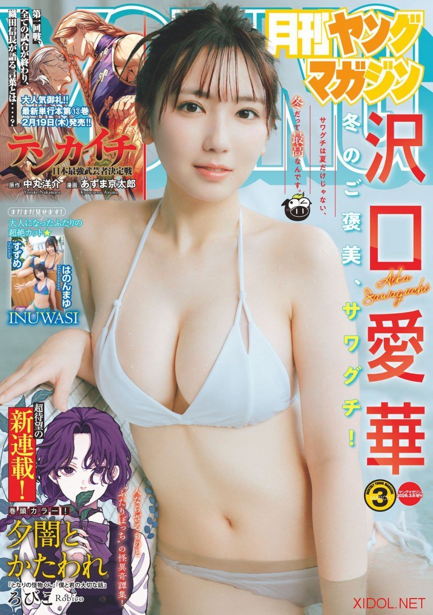 [Gekkan Young Magazine] 2026 No.03