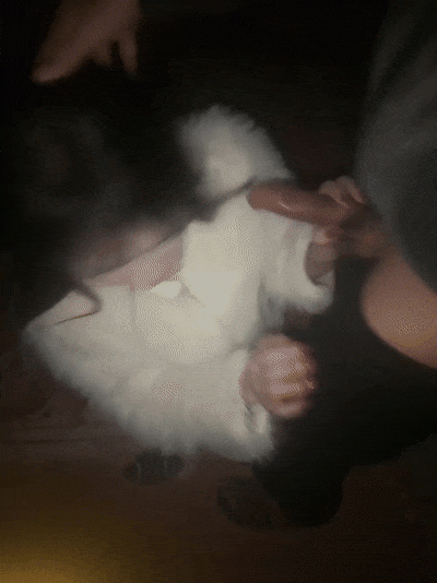 深夜露出野戰【zhuendong000001】兩個小夥酒吧出來喝的醉醺醺的美女露臉野外脫光後入，刺激