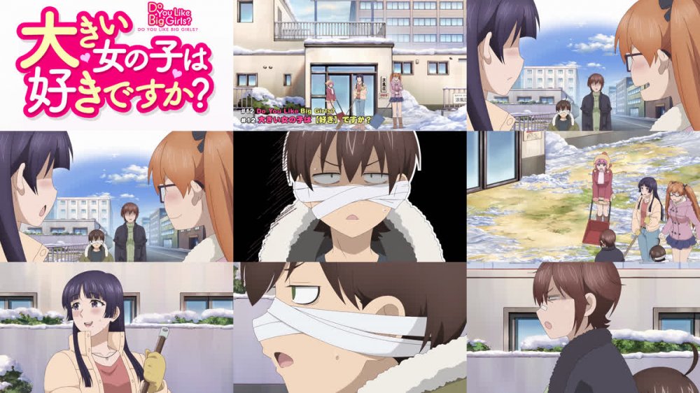 [桜都字幕组] 这样高大的女孩子你喜欢吗？ / Ookii Onnanoko wa Suki Desuka？ [12][1080P][简繁内封]