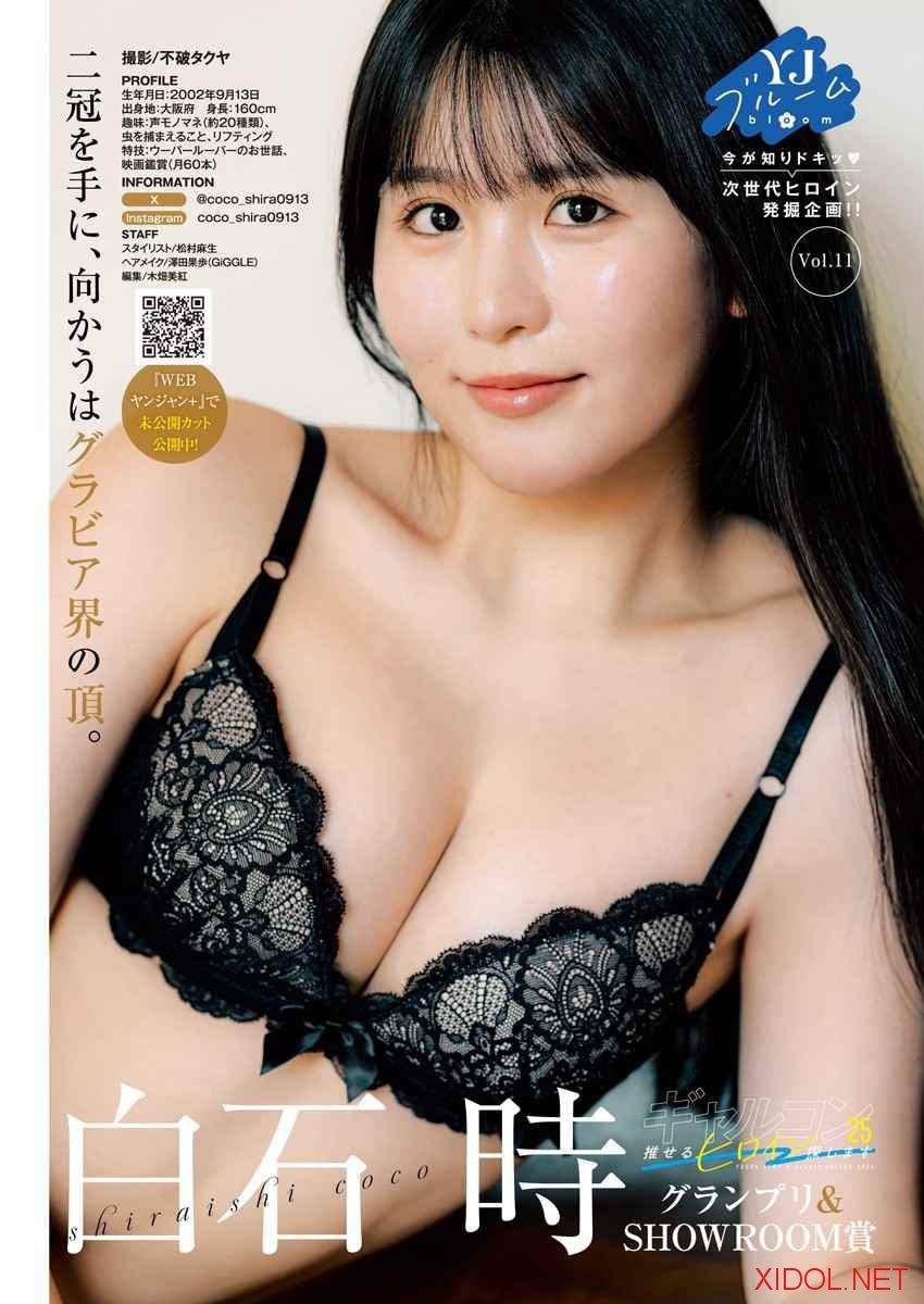 [Young Jump] 2026 No.31