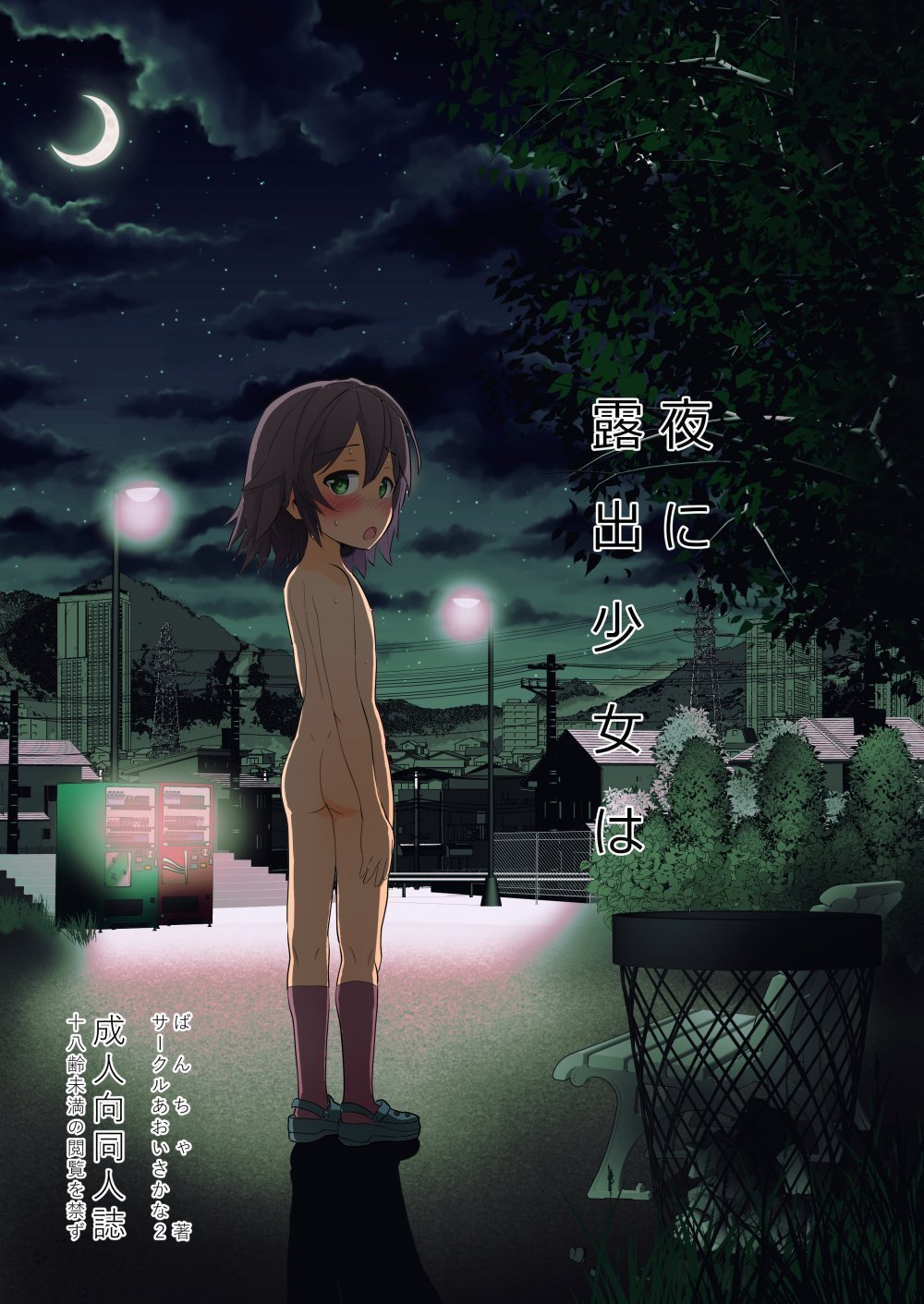 (同人誌) [あおいさかなII (ばんちゃ)] 夜に露出少女は (オリジナル)
