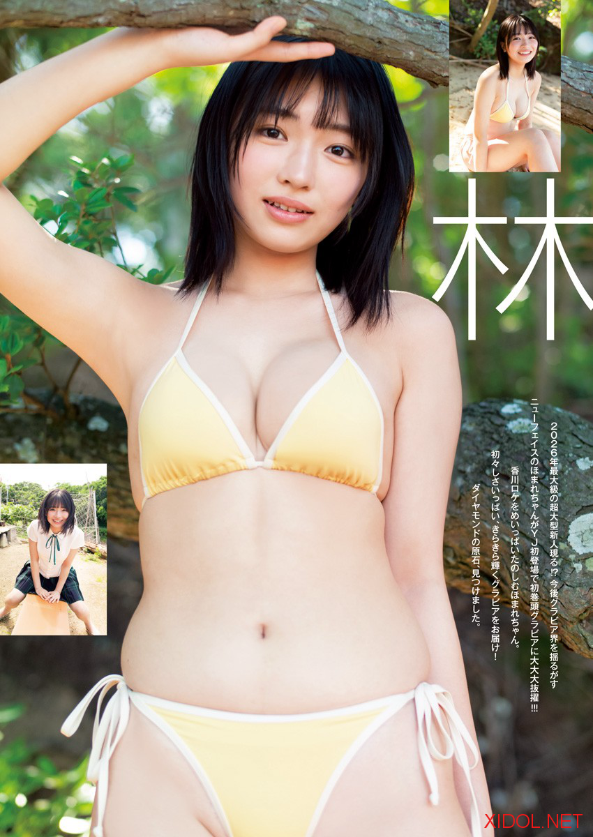 [Young Jump] 2026 No.33