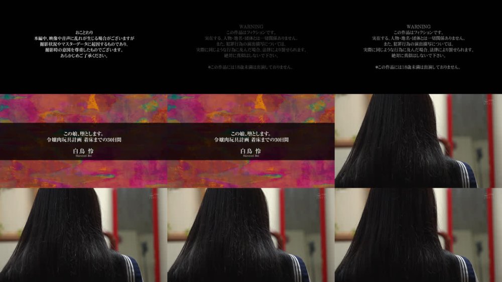 +++ [FHD] APNS-417 この娘、堕とします。令嬢肉玩具計画 着床までの30日間 白鳥怜