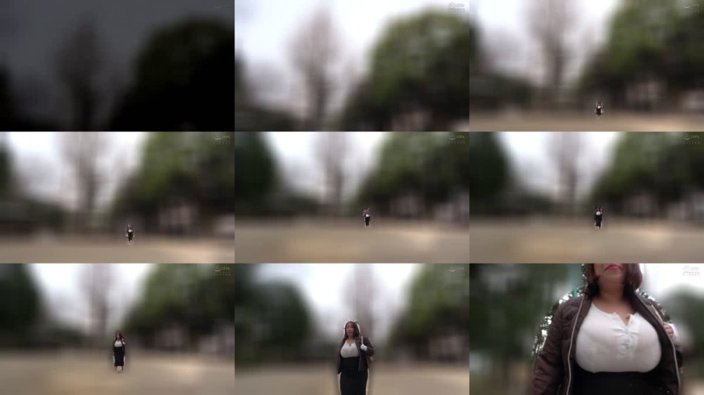 +++ [FHD] MIST-528 オバショット おばさんの、おばさんによる、おばさんマニアのための、おばさんセックス れいかおばさん41歳