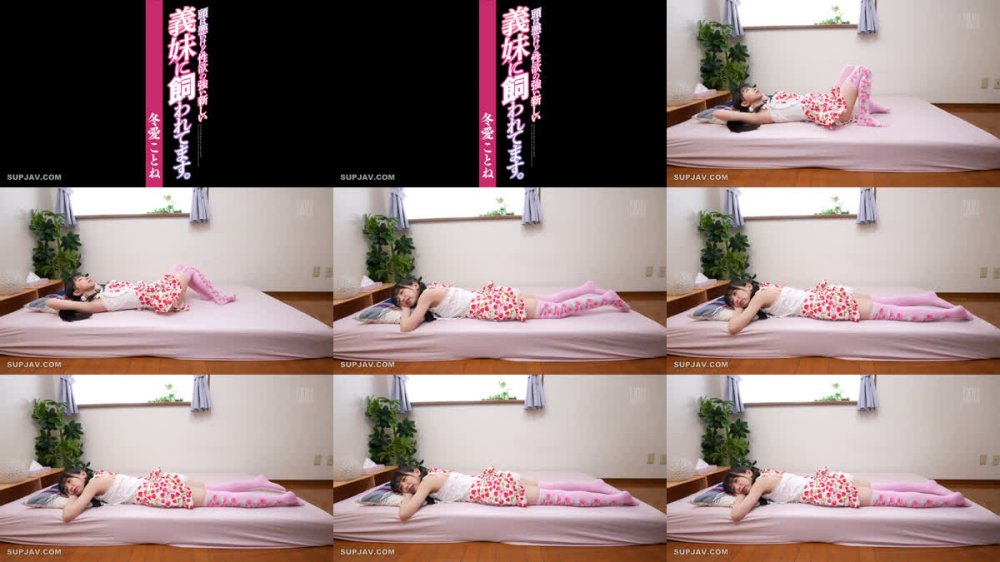 +++ [FHD] YSN-662 頭は悪いけど性欲の強い新しい義妹に飼われてます。 冬愛ことね