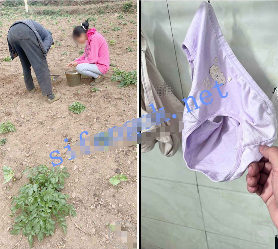 一位外部網站部落客（迷戀她嫂子的溫柔）和她的嫂子做愛，而她還是個小孕婦