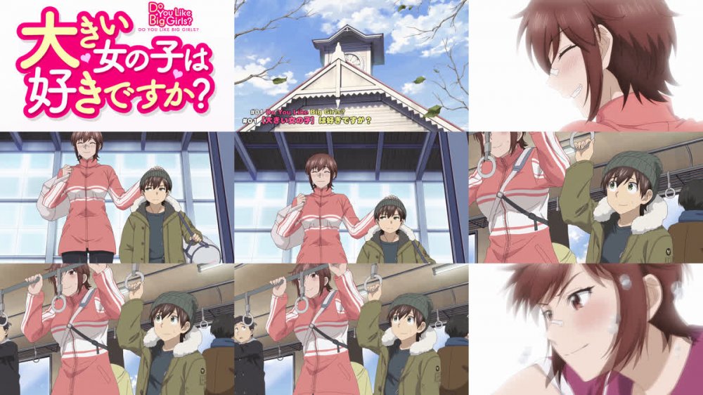[桜都字幕组] 这样高大的女孩子你喜欢吗？ / Ookii Onnanoko wa Suki Desuka？ [01-12 Fin][1080P][简繁内封]
