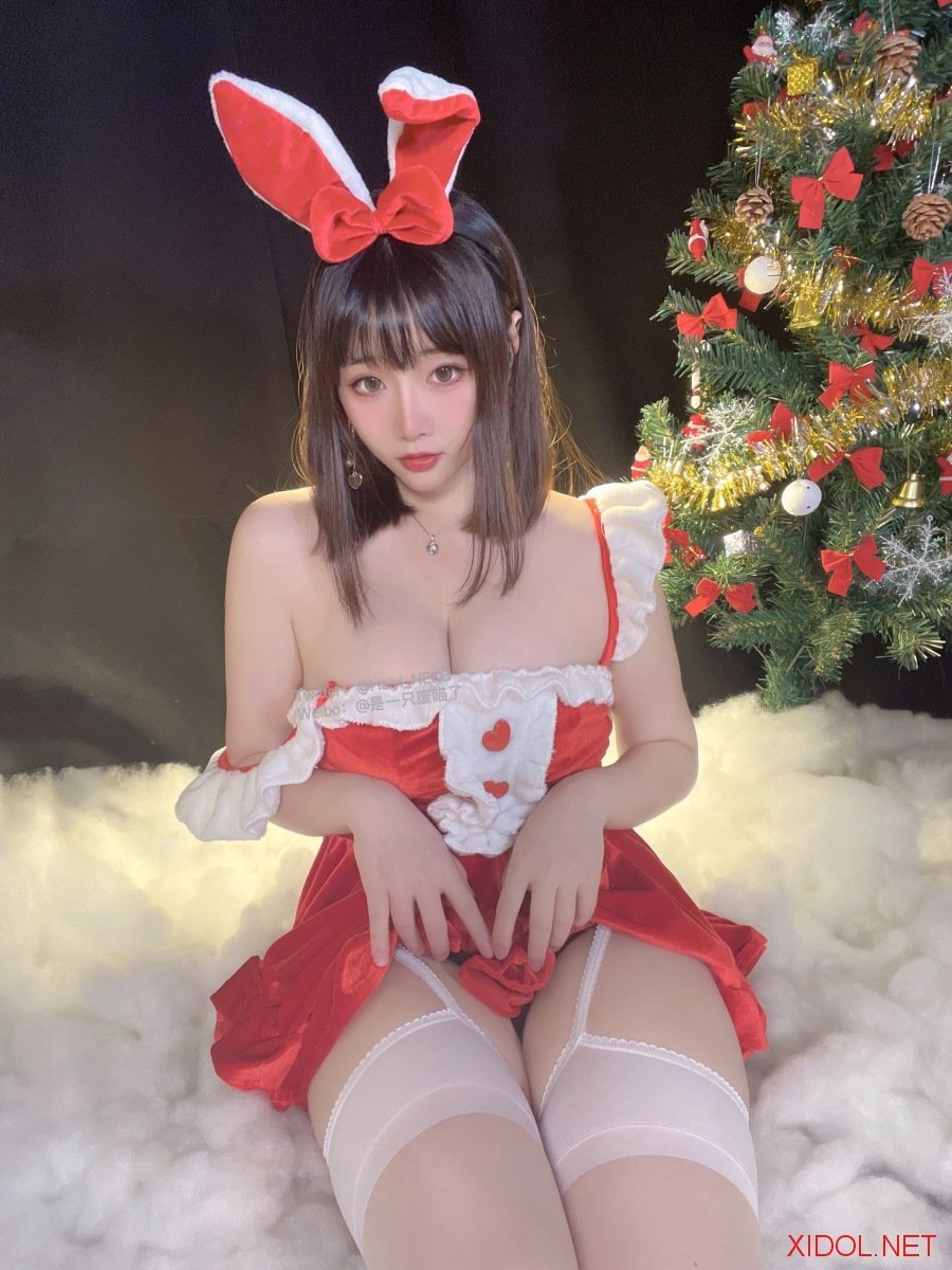 [Cosplay] 是一只废喵了 圣诞连衣裙 [27P2V-340MB]