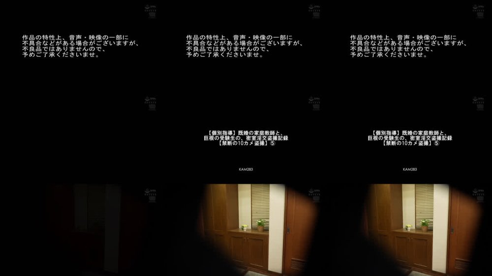 +++ [FHD] KAM-283 【個別指導】既婚の家庭教師と、巨根の受験生の、密室淫交盗撮記録【禁断の10カメ盗撮】（5） 北野未奈