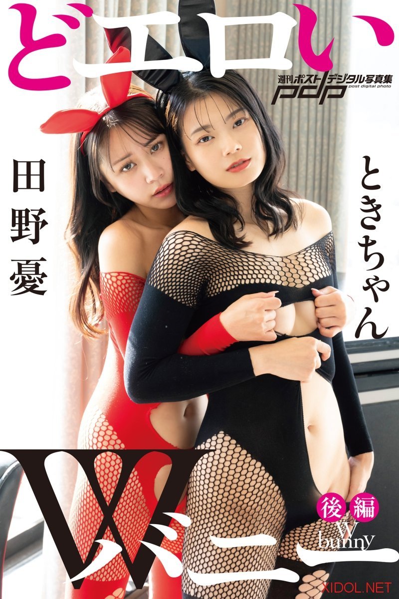 [Photobook] ときちゃん×田野憂 どエロいWバニー【後編】