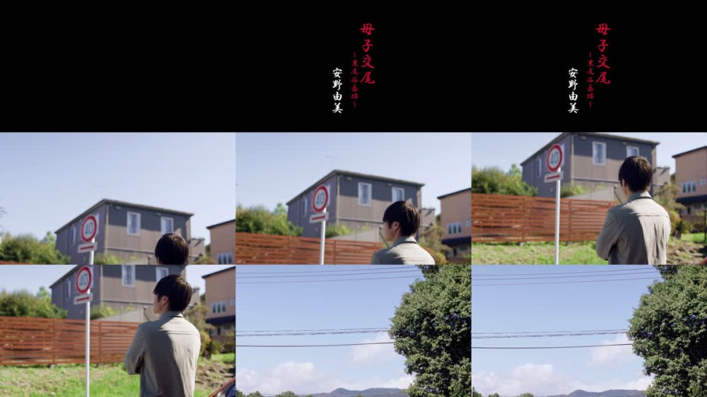 +++ [FHD] BKD-371 母子交尾～黒尾谷岳路～ 安野由美